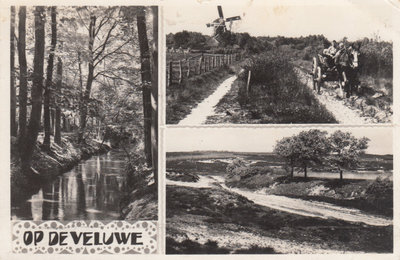 VELUWE - Meerluik op de Veluwe