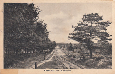 VELUWE - Karreweg op de Veluwe