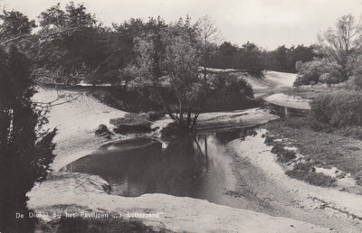 LUTTERZAND - De Dinkel bij het Paviljoen 't Lutterzand