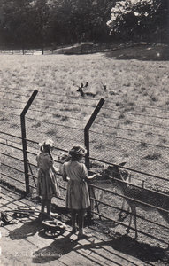 ZEIST - Hertenkamp