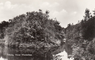 TILBURG - Vijver Wandelbos