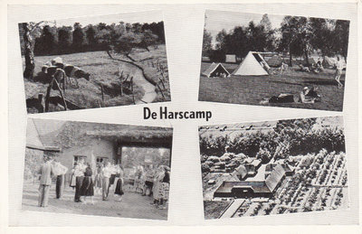 HARSKAMP - Meerluik de Harskamp