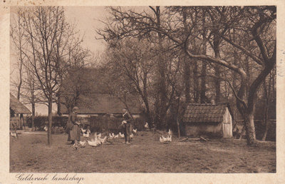 GELDERLAND - Geldersch Landschap