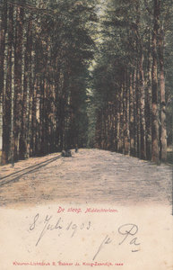 DE STEEG - Middachterlaan