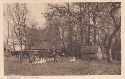 GELDERLAND - Geldersch Landschap