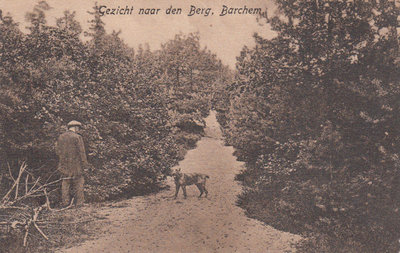 BARCHEM - Gezicht naar de Berg