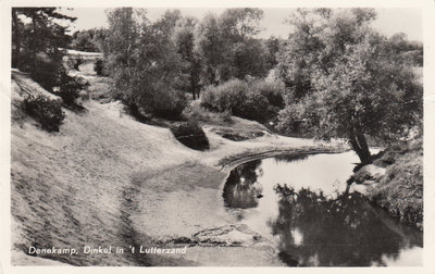 DENEKAMP - Dinkel in 't Lutterzand