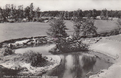 DENEKAMP - Dinkel in 't Lutterzand. Beuningen bij Denekamp