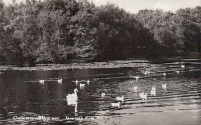 OOTMARSUM - Janninks Kolk