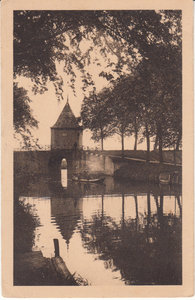 ENKHUIZEN - Oudegouwsboom aan de Vest