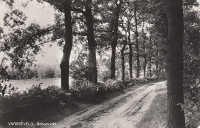 VARSSEVELD - Bosgezicht