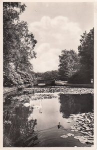 HOENDERLOO - HOGE VELUWE - Vijver bij Stenen brug