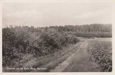 BARCHEM - Gezicht op de Kale Berg