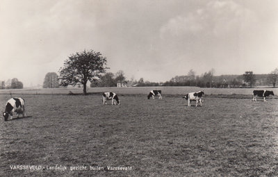 VARSSEVELD - Landelijk Gezicht buiten Varsseveld