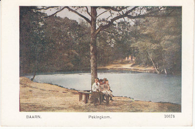 BAARN - Pekingkom