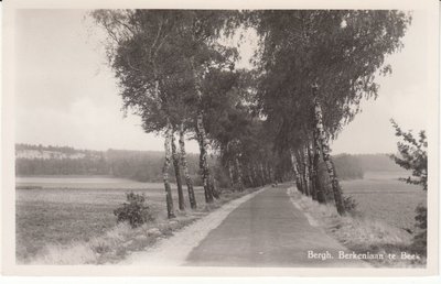 BERGH - Berkenlaan te Beek