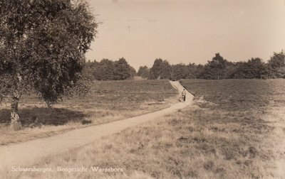 SCHAARSBERGEN - Bosgezicht Warnsborn