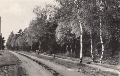 VARSSEVELD - Hessenweg i. d. Vennebulten
