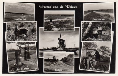 VELUWE - Meerluik Groeten van de Veluwe