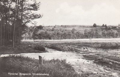 NIJVERDAL - Bosgezicht Nijverdalseberg