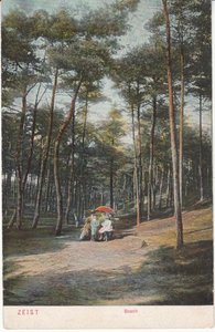 ZEIST - Bosch