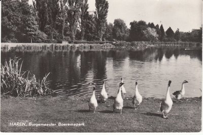 HAREN - Burgemeester Boeremapark