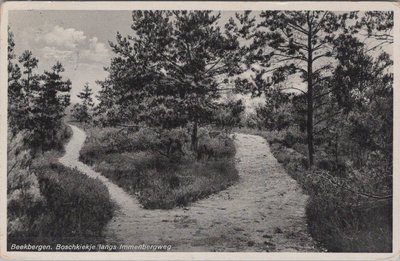 BEEKBERGEN - Boschkiekje langs Immenbergweg