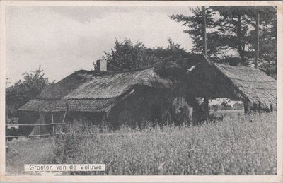VELUWE - Groeten van de Veluwe
