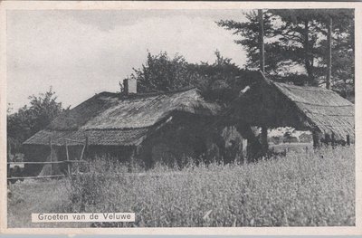VELUWE - Groeten van de Veluwe