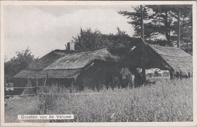 VELUWE - Groeten van de Veluwe