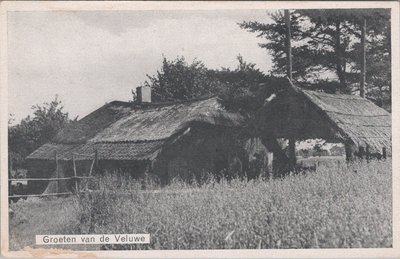 VELUWE - Groeten van de Veluwe