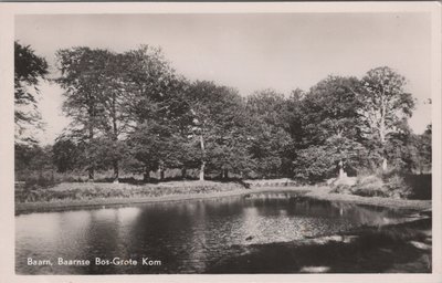 BAARN - Baarnse Bos Grote Kom