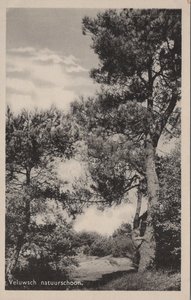VELUWE - Natuurschoon