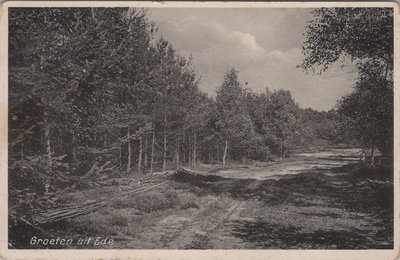 EDE - Bosgezicht