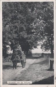 VELUWE - Boerenkar, Groeten van de Veluwe