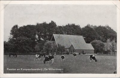 KOTTEN - Pension en Kampeerboerderij de Wiltershaar