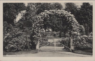 UTRECHT - Rosarium