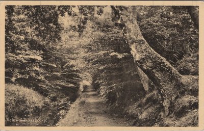 VELUWE - Zilverbeekje
