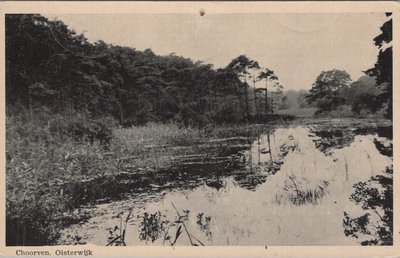 OISTERWIJK - Choorven