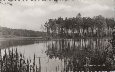 OISTERWIJK - Kokven