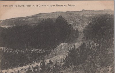 BERGEN - SCHOORL Panorama bij Duivelsbosch in de Duinen