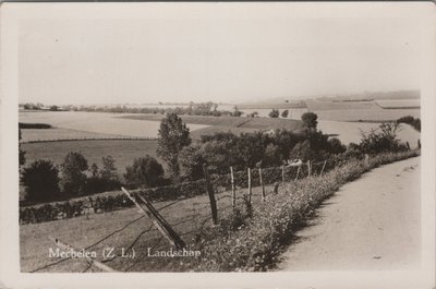 MECHELEN - Landschap