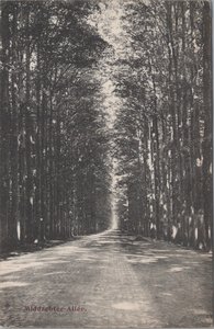 ELLECOM - Middachter-Allee