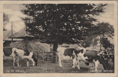 VELUWE - Op de Veluwe Landelijk tafereel
