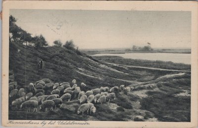 UDDEL - Hunneschans bij het Uddelermeer