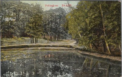 BAARN - Pekingkom