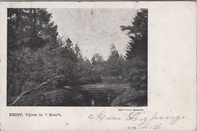 ZEIST - Vijver in 't Bosch
