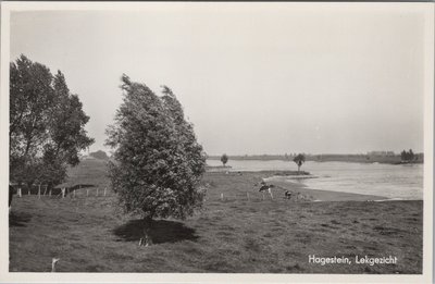 HAGESTEIN - Lekgezicht