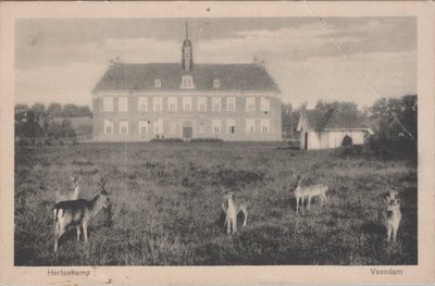 VEENDAM - Hertenkamp