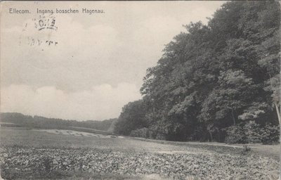 ELLECOM - Ingang bosschen Hagenau